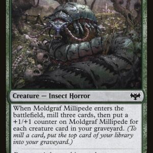 Moldgraf Millipede