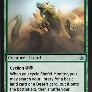 Shefet Monitor