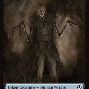 Human Wizard