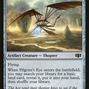 Pilgrim's Eye