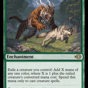 Food Chain