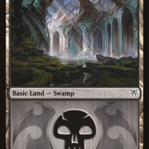 Swamp