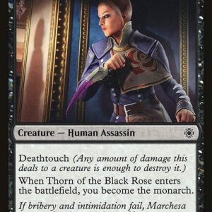 Thorn of the Black Rose