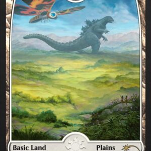 Plains