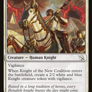 Knight of the New Coalition