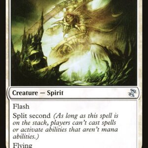 Celestial Crusader