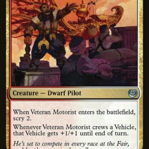 Veteran Motorist