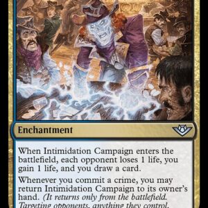 Intimidation Campaign
