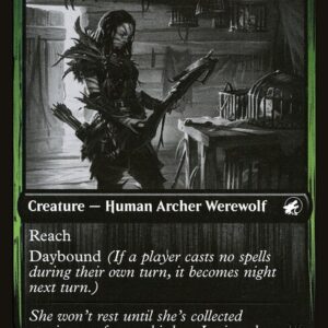 Bird Admirer // Wing Shredder