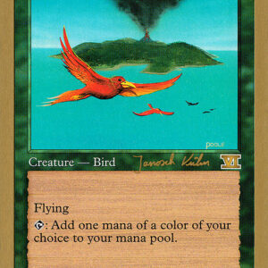Birds of Paradise