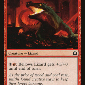 Bellows Lizard