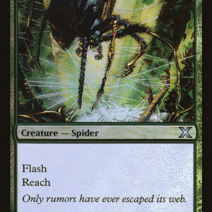 Tangle Spider