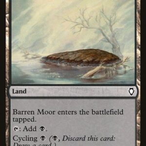 Barren Moor