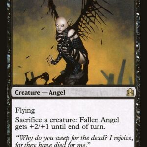 Fallen Angel