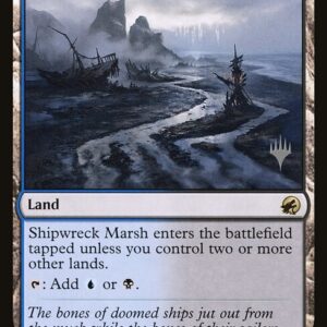 Shipwreck Marsh