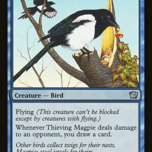 Thieving Magpie