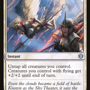 Rally of Wings