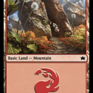 Mountain