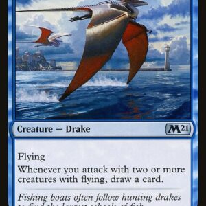 Tide Skimmer