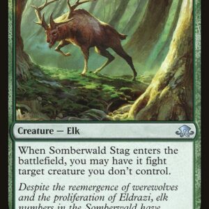 Somberwald Stag