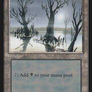 Snow-Covered Swamp