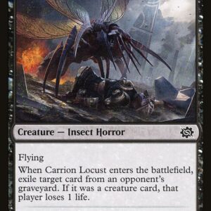 Carrion Locust
