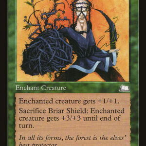 Briar Shield
