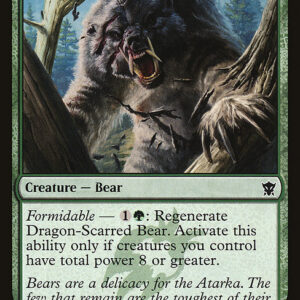 Dragon-Scarred Bear