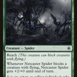 Netcaster Spider