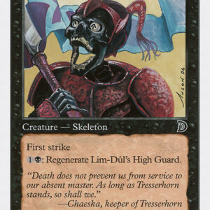 Lim-Dûl's High Guard
