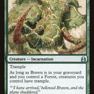 Brawn