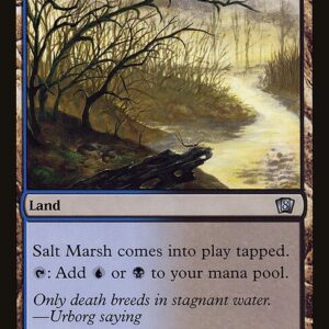 Salt Marsh