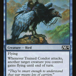 Trained Condor