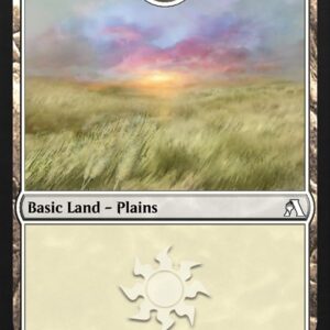 Plains