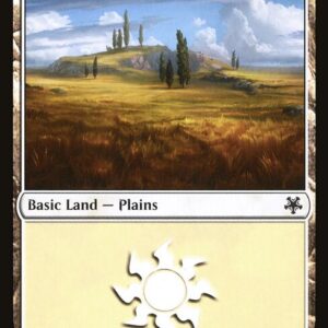 Plains