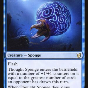 Thought Sponge