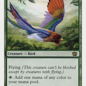 Birds of Paradise