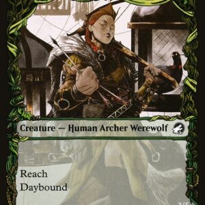 Bird Admirer // Wing Shredder