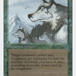 Aspect of Wolf