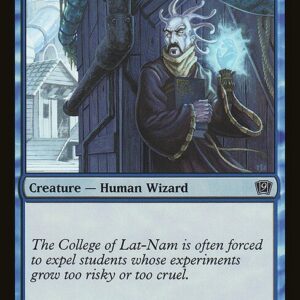 Fugitive Wizard
