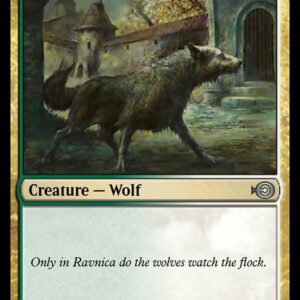 Watchwolf