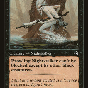 Prowling Nightstalker