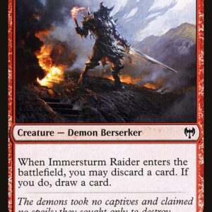Immersturm Raider