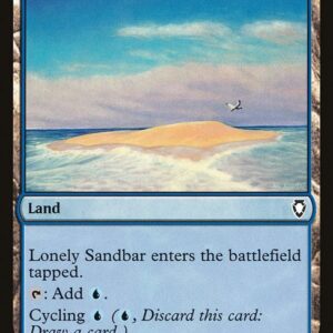 Lonely Sandbar