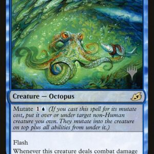 Sea-Dasher Octopus