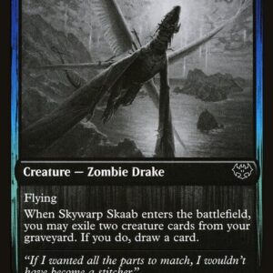 Skywarp Skaab