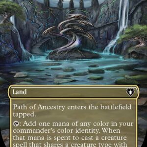 Path of Ancestry