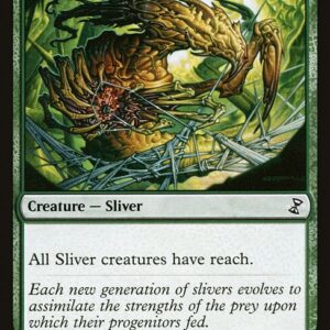 Spinneret Sliver