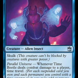 Time Beetle