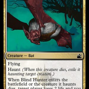 Blind Hunter